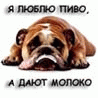 Просмотр профиля